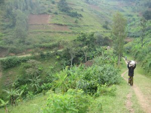 Long descent on the Congo-Nile Trail. Courtesy of Jacob Deering.