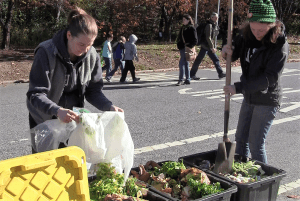 New Yorkers drop off food waste at Union Square Park for composting. Photo by Prianka Srinivasan